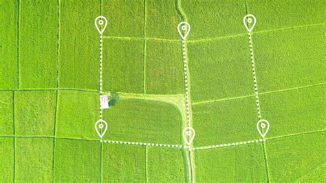 Property Lines: Everything You Need To Know – Forbes Advisor.